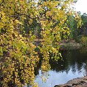 ���� �������, ���������, 44 ���� - ��������� 3 ������ 2022 � ������ ������ ��������