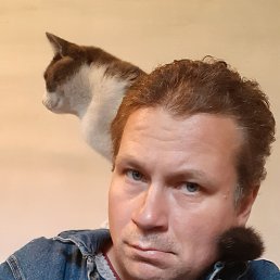 ���� �������, ������, 45 ��� - ��������� 17 ������� 2022