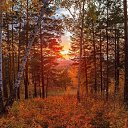 ���� �����, ���������� - ��������� 27 ������� 2022 � ������ ���� ����������