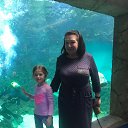 ���� �����, ������������, 64 ���� - ��������� 31 ��� 2022 � ������ ���� ����������