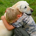 ���� ����, ������, 71 ��� - ��������� 20 ���� 2022 � ������ ���� ����������