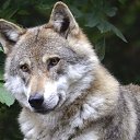 ���� �����, �������, 58 ��� - ��������� 2 ������� 2023 � ������ ���� ����������