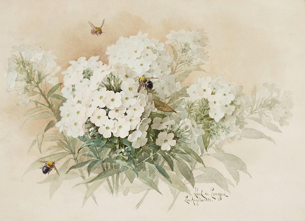    (1855-1911) -   - .    , ,  1855  ...