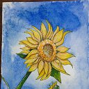  , , 44  -  8  2022     -   .