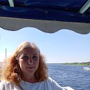  , , 56  -  29  2022   - 2022