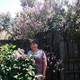 ���� ���������, ����������, 65 ��� - ��������� 8 ������ 2023