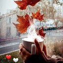 ���� �����, ����, 54 ���� - ��������� 1 ������� 2022 � ������ ���� ����������