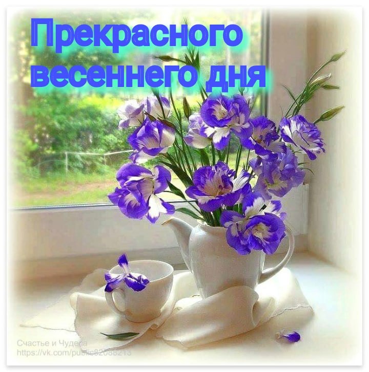   ,    . - 15  2022  13:05