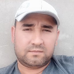 ������, �������, 37 ���