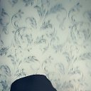 ���� �������, ��������, 50 ��� - ��������� 8 ������� 2022 � ������ ���� ����������