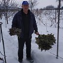 ���� Petru, �������, 75 ��� - ��������� 31 ������ 2023 � ������ ���� ����������