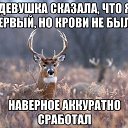 ���� �, �������, 51 ��� - ��������� 17 ������ 2023 � ������ ������ ��������