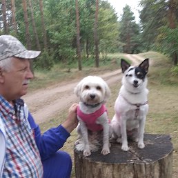 ���� ��������, �����, 67 ��� - ��������� 15 ������� 2022