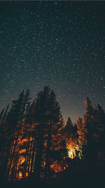 -    ,   ,     ! -  ,   ...