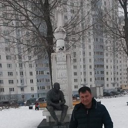 �����, ������, 39 ���