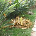 ���� �����, ���������, 61 ��� - ��������� 23 ������� 2022 � ������ ���� ����������