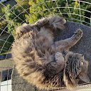 ���� �������, ������, 63 ���� - ��������� 18 ������� 2022