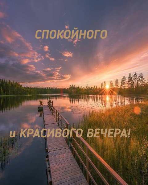 Мужчина - это хищник любящий охотиться за своей женщиной. И чем изысканней он добивается её, тем ...