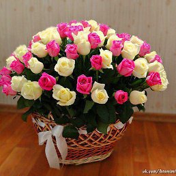 �����, ������