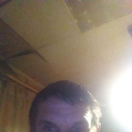 �������, ������, 39 ���