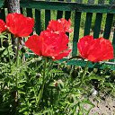 ���� Sandra, ������ - ��������� 10 ������� 2022 � ������ ��������