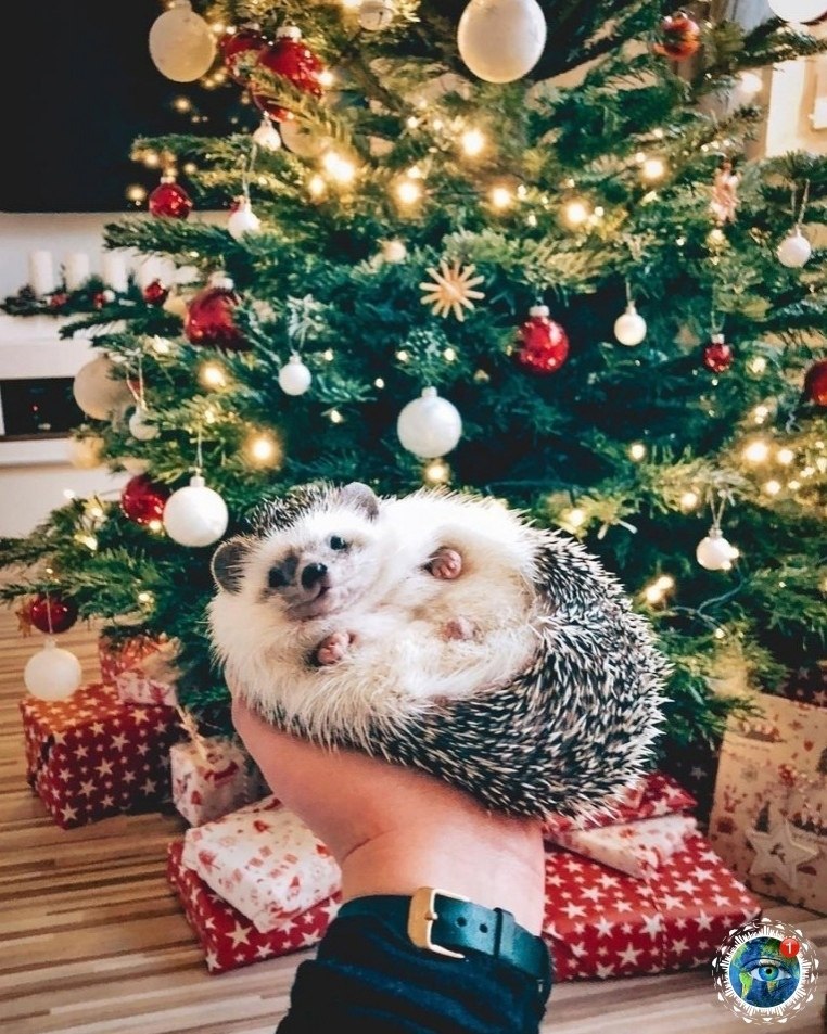 oc�o�p��e �a ��o ���o c �o����a��).���� ������������ ��� - 4