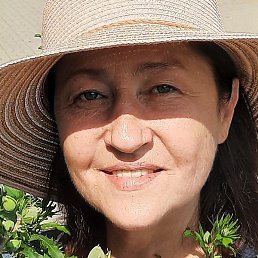 �����, ���������, 59 ���