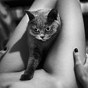 ���� ������, ������, 48 ��� - ��������� 18 ������� 2023 � ������ ���� ����������