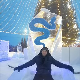 �������, �����������, 36 ���