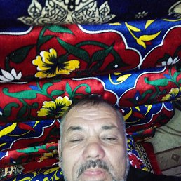 ���� ���, �����, 37 ��� - ��������� 6 ������� 2023