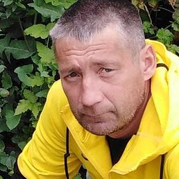 �����, �����������, 46 ���