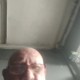 �������, �����������, 79 ���