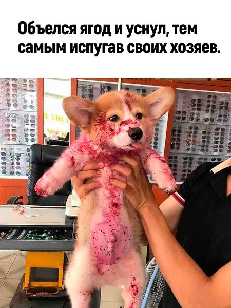    :3