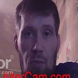 �����, ������, 37 ���