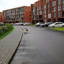 ���� ������, ������, 38 ��� - ��������� 20 ������� 2022 � ������ ��������� � �������� �����