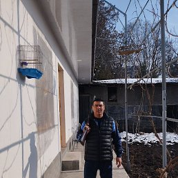 �����, �������, 56 ���