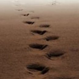 ������, �������, 21 ���