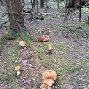���� ������, �����-��������� - ��������� 29 ����� 2022 � ������ ���� ����������