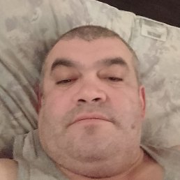 ������, �����-���������, 46 ���