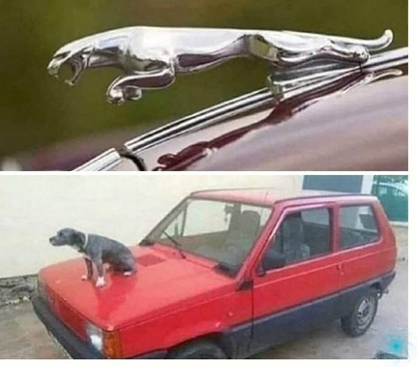 �a�e� ������� �o����.MOTOR - ������������� ������
