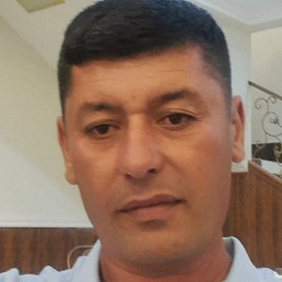 �����, �������, 46 ���