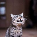 �� �� �����! �� ������� ������ ��������