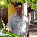 ���� �����, �����������, 49 ��� - ��������� 22 ������ 2022 � ������ ���� ����������