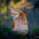 ���� �������, ������, 64 ���� - ��������� 26 ������� 2022 � ������ ������ ��������