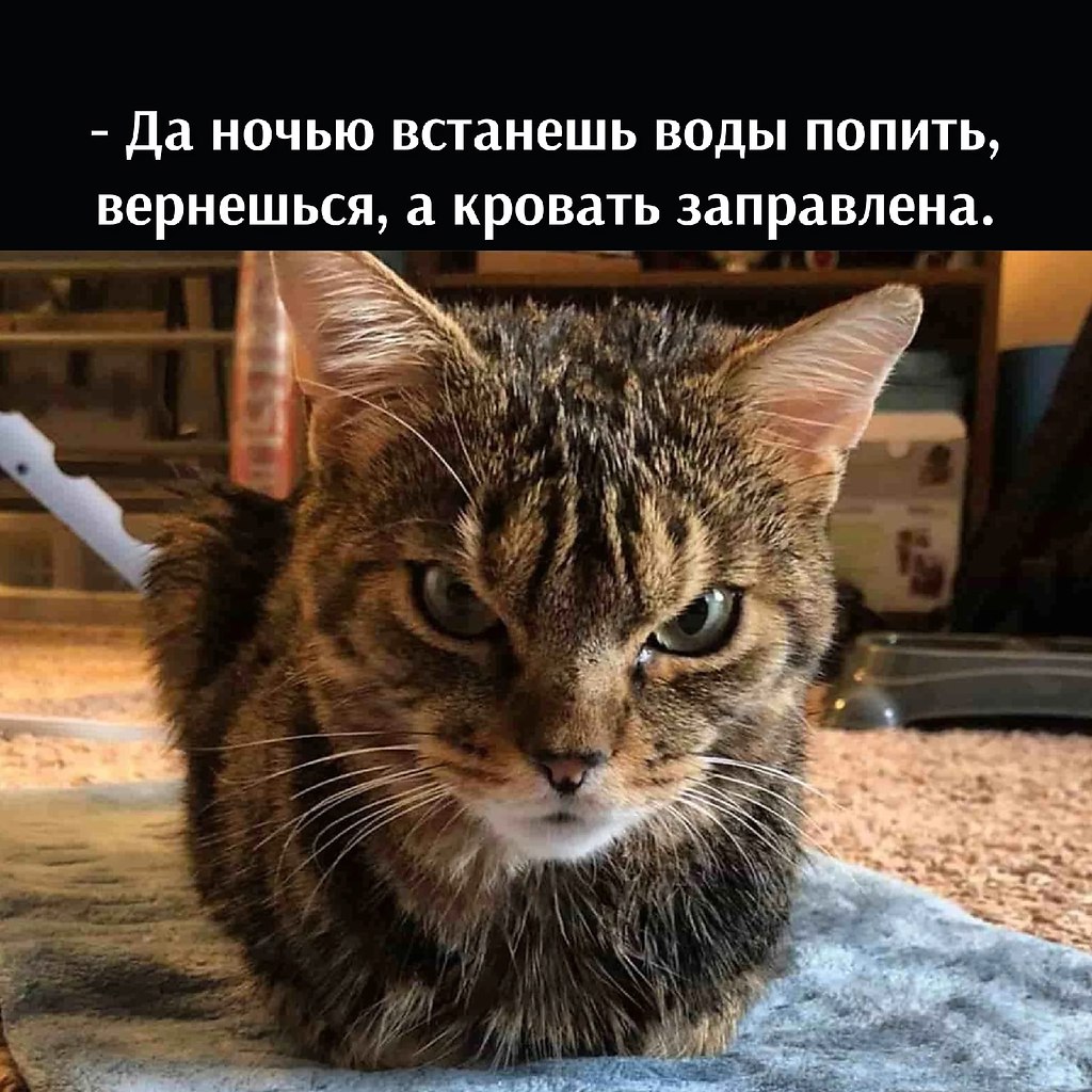       - 27  2022  16:57 - 4