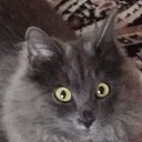 ���� �������, ������ - ��������� 31 ������ 2023 � ������ ������ ��������