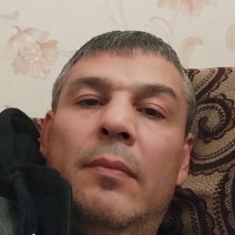 Elchin, ����, 50 ���