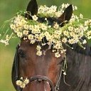   ., , 44  -  23  2023    .