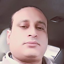 �����, �������, 37 ���