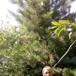 ���������, ������������, 73 ����